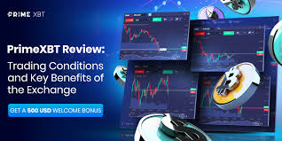 Unlocking the Benefits Maximize Your Gains with PrimeXBT Bonus Promotion Unlocking the Benefits Maximize Your Gains with PrimeXBT Bonus Promotion