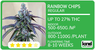 Exploring the Best Sources for Marijuana Seeds in Michigan