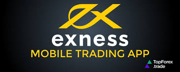 Exness Company A Comprehensive Review of Its Services and Benefits