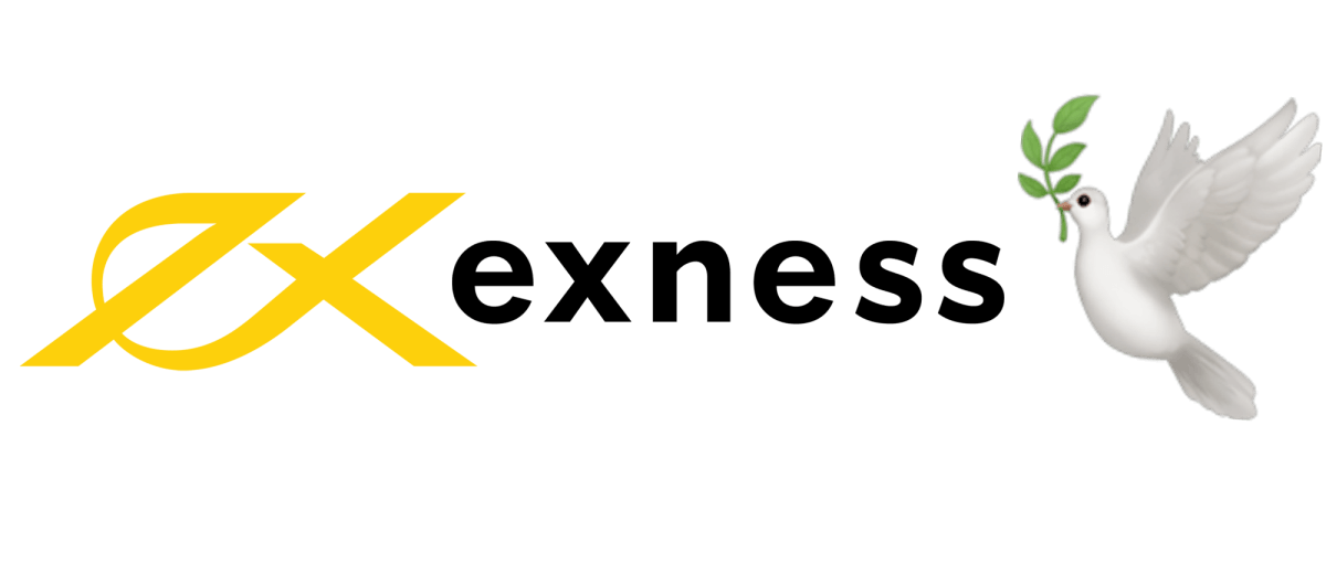 Exploring the Exness Web Platform Features, Benefits, and User Experience